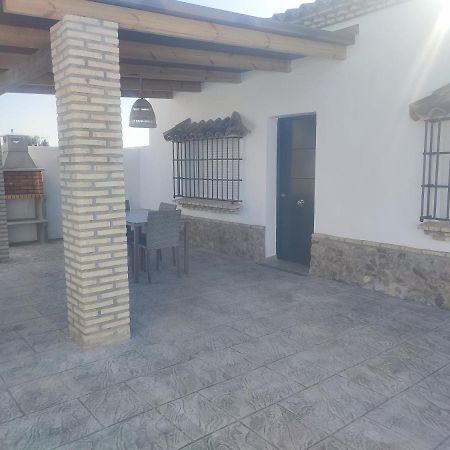 Finca La Vigia 2 Conil De La Frontera Ngoại thất bức ảnh
